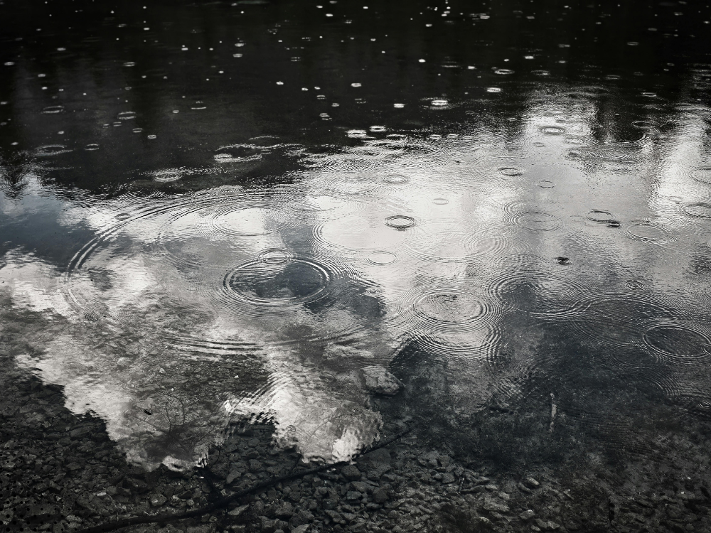Water pooling and flooding near a home — a common concern in Orlando, FL where high water tables affect drainage