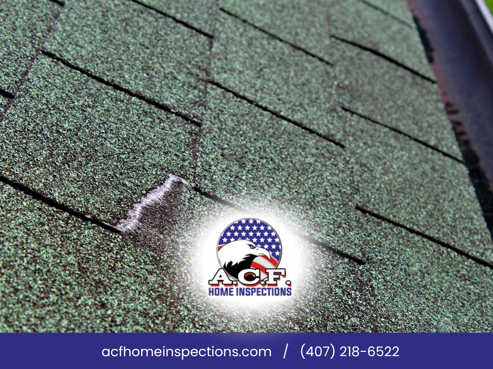 Hail damage on roof shingles in Orlando, FL — A.C.F. Home Inspections
