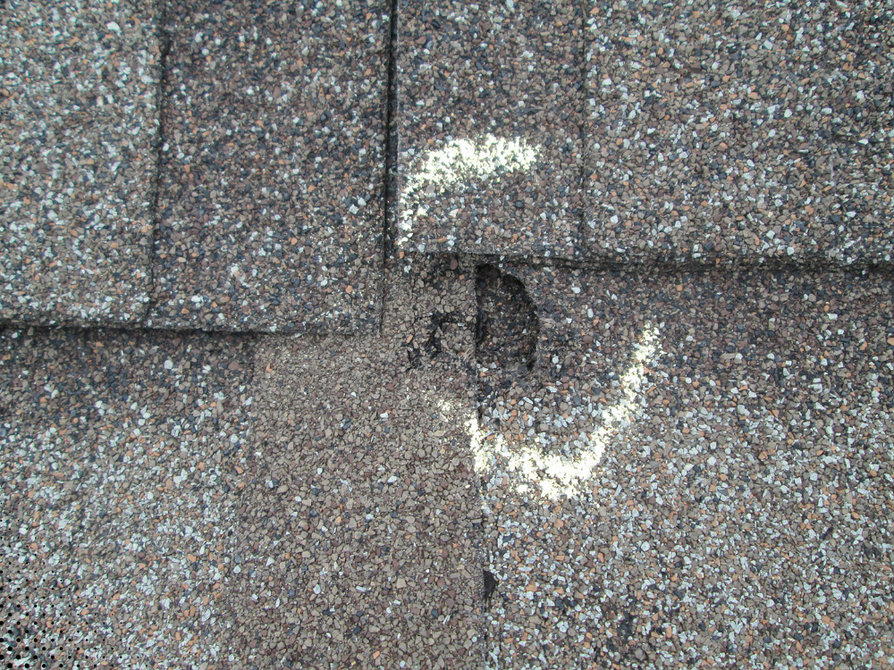 Close-up of wind or hail damage on a roof shingle — a common finding during Orlando, FL home inspections